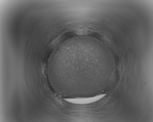 X0000064770233200602242006