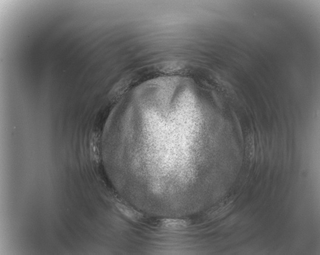 X0000064770234200602242006