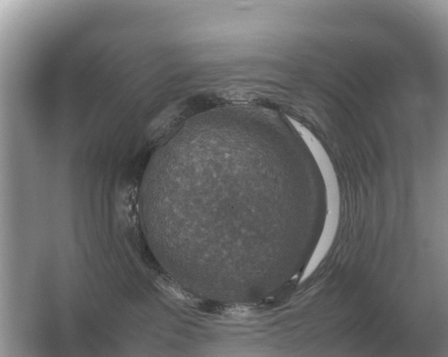 X0000064770237200602242006