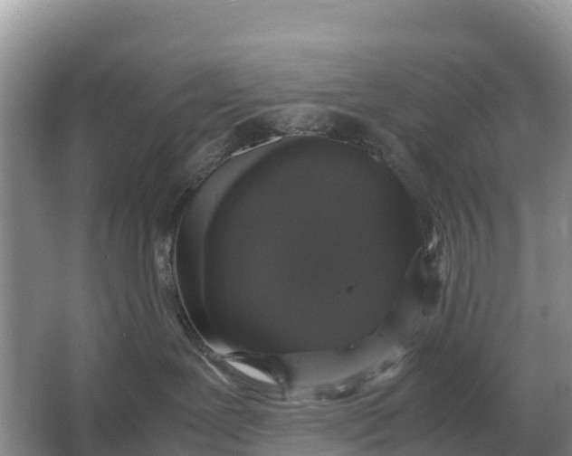 X0000064770239200602242006