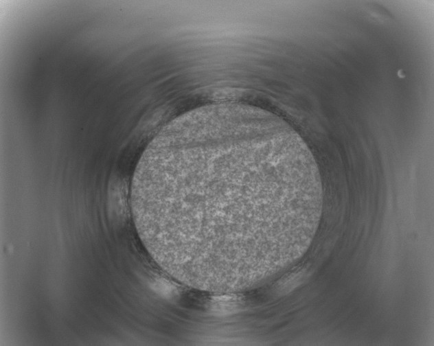 X0000064770240200602242006