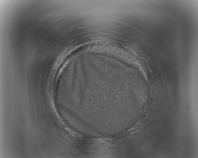 X0000064770241200602242004