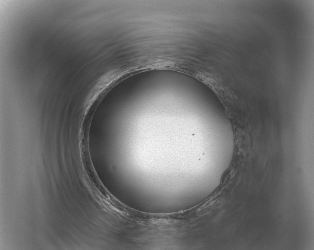 X0000064770242200602242004