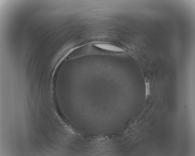 X0000064770243200602242004