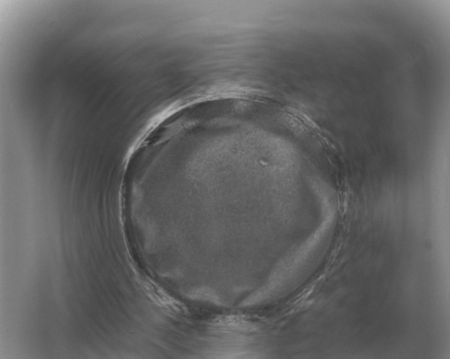 X0000064770244200602242004