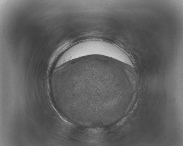 X0000064770245200602242004