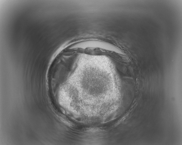 X0000064770246200602242005