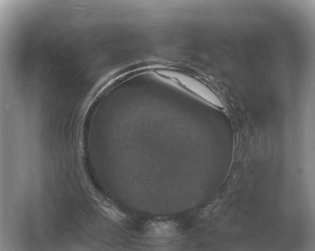 X0000064770247200602242005