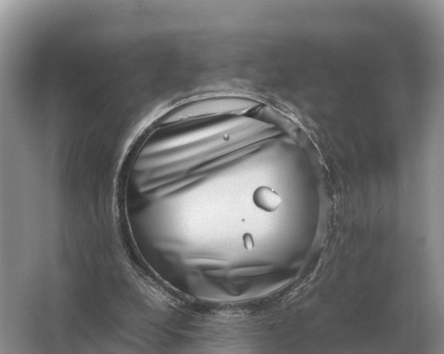 X0000064770248200602242005