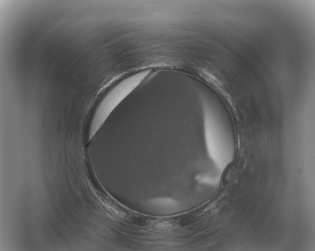 X0000064770249200602242005