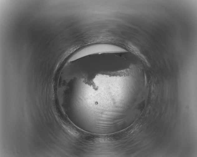 X0000064770250200602242005