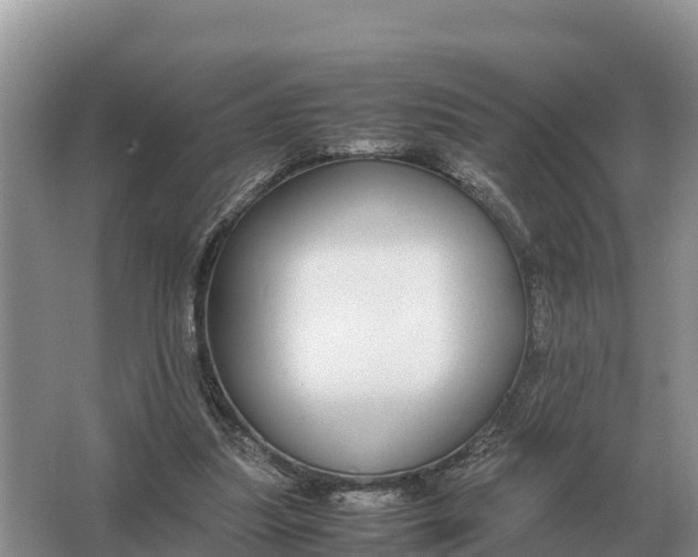 X0000064770251200602242005