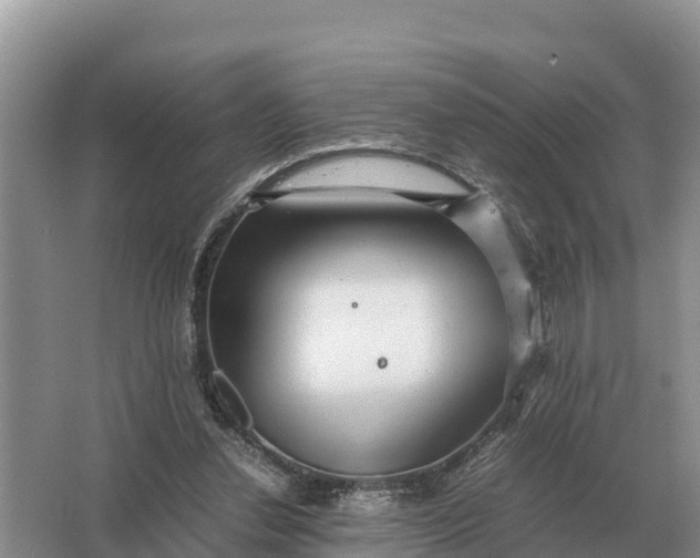 X0000064770252200602242005