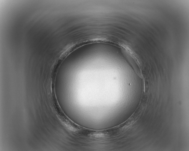 X0000064770253200602242005