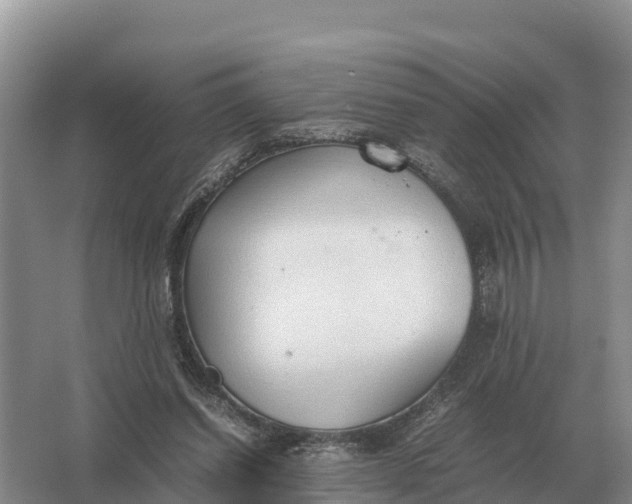 X0000064770254200602242005