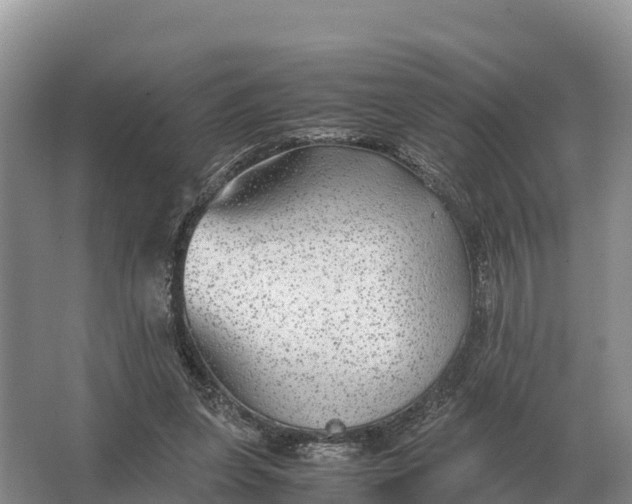 X0000064770255200602242005