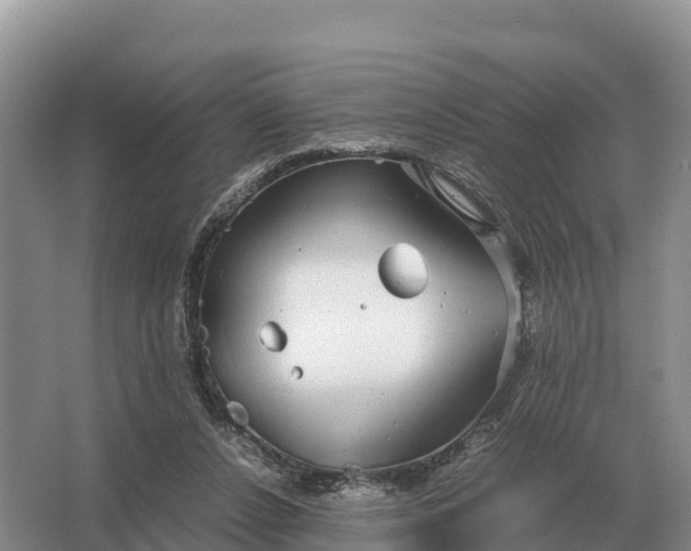 X0000064770256200602242005