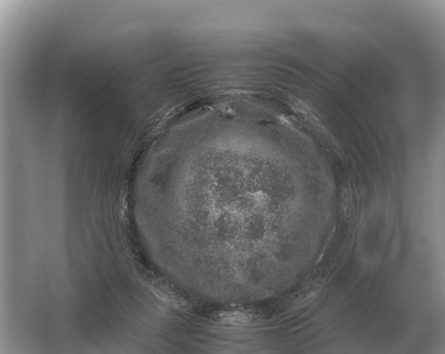 X0000064770259200602242005