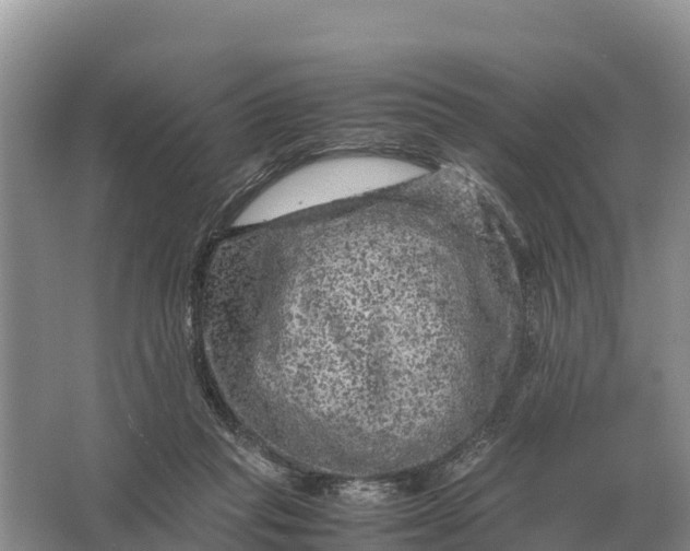 X0000064770261200602242005