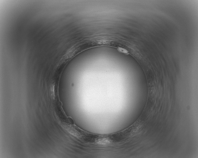 X0000064770262200602242005