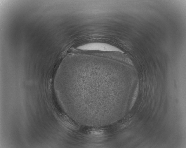 X0000064770263200602242005