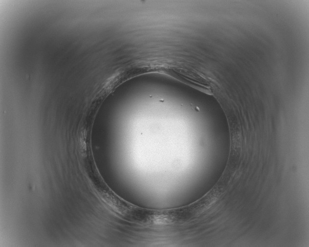 X0000064770264200602242005