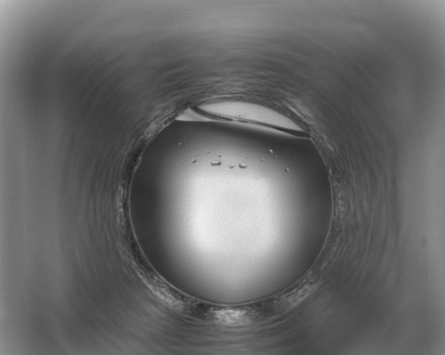 X0000064770265200602242005