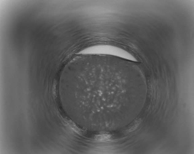 X0000064770266200602242005