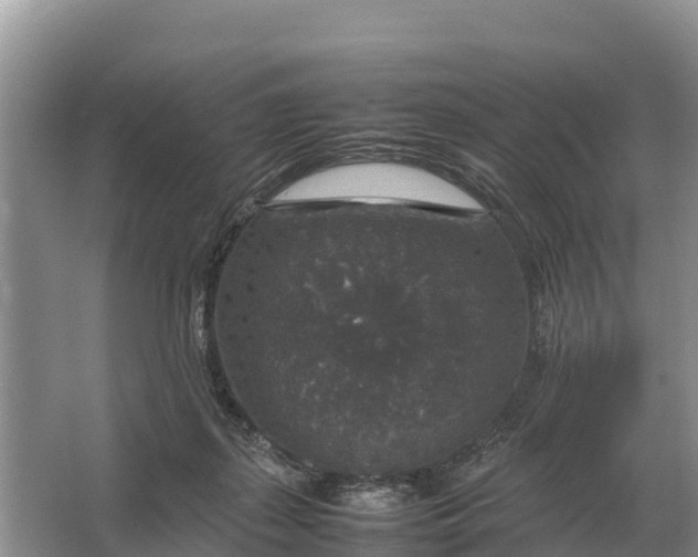 X0000064770267200602242005