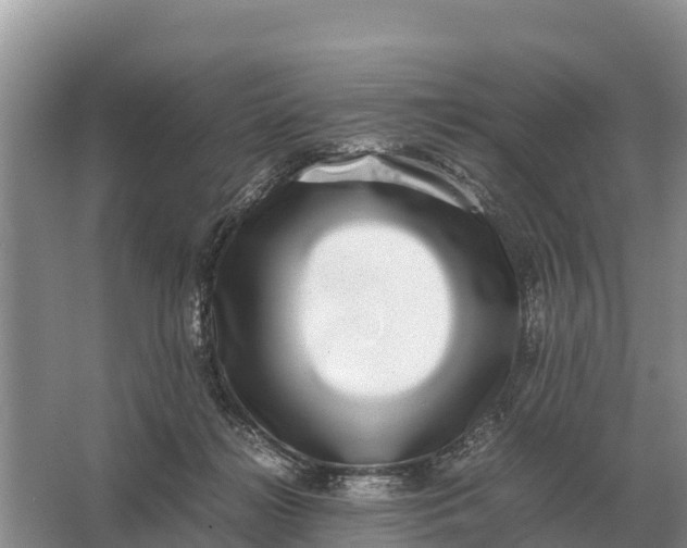 X0000064770268200602242005