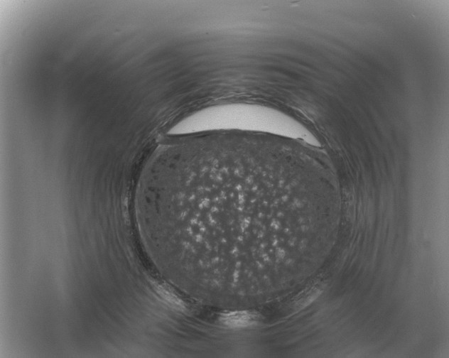 X0000064770269200602242005