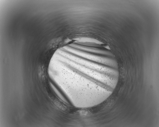 X0000064770272200602242005