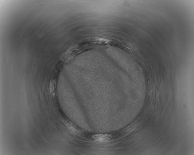 X0000064770273200602242005