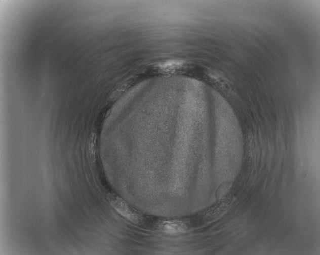 X0000064770275200602242005