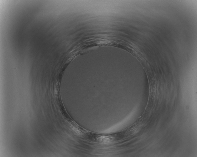 X0000064770277200602242005