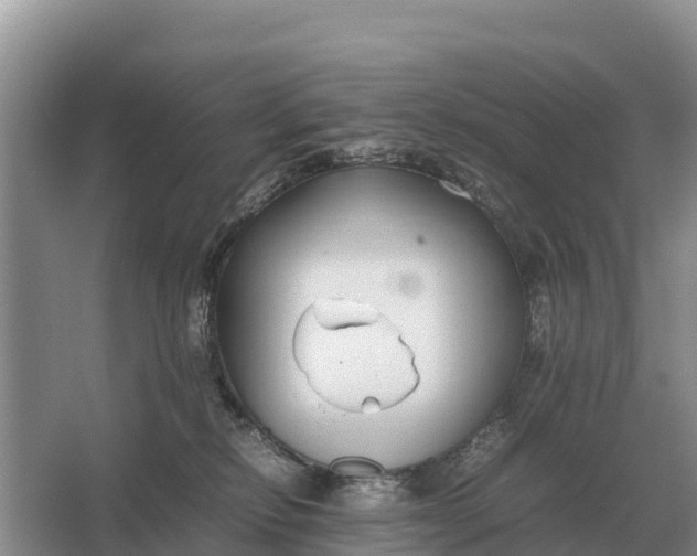 X0000064770278200602242005