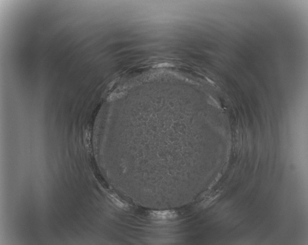 X0000064770281200602242005