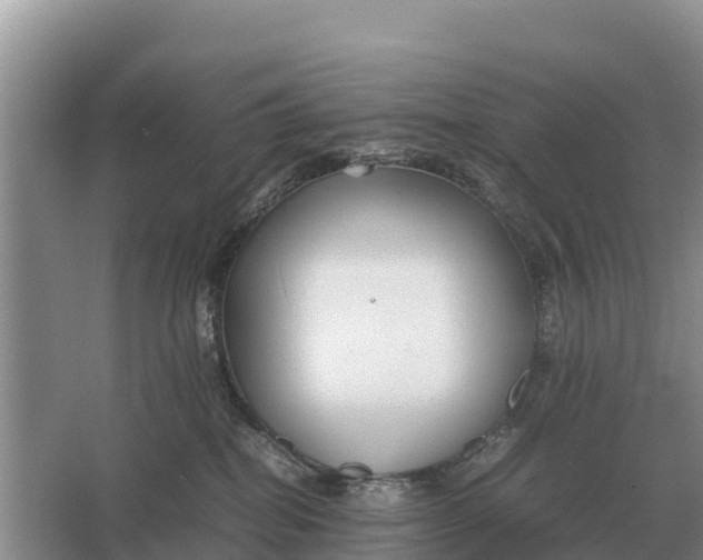 X0000064770282200602242005