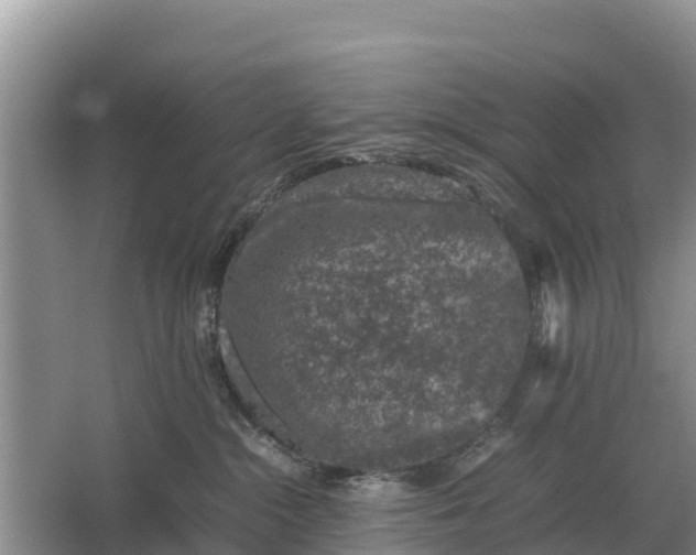 X0000064770284200602242005