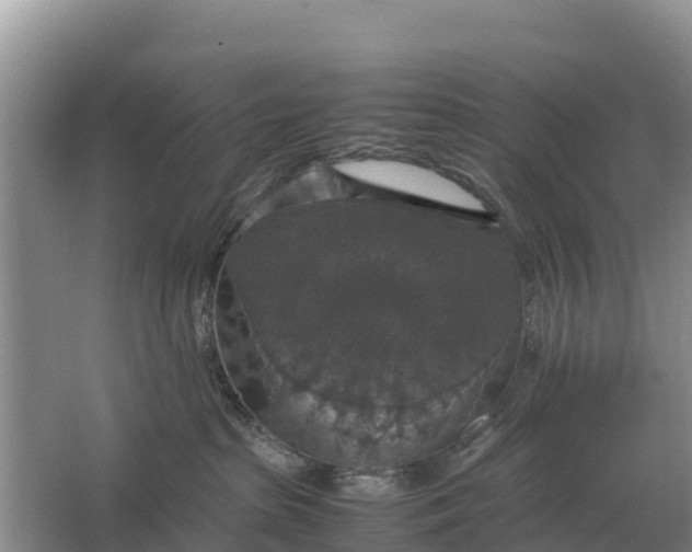 X0000064770285200602242005