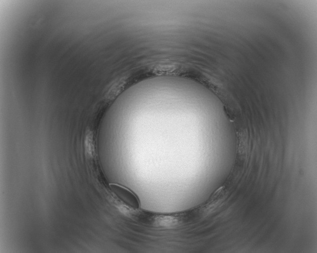 X0000064770287200602242006