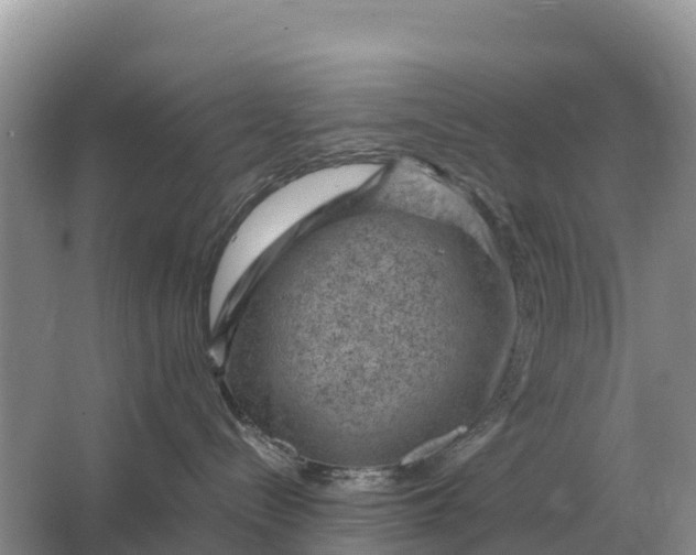 X0000064770288200602242006