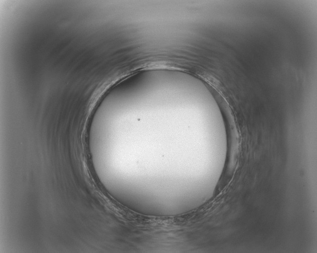 X0000064770289200602242004