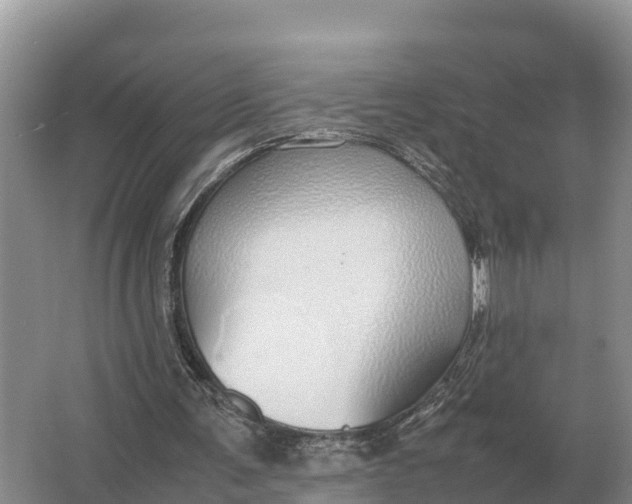 X0000064770291200602242004