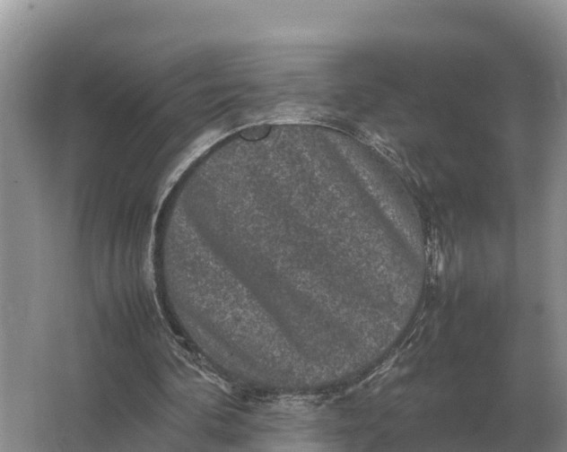 X0000064770292200602242004