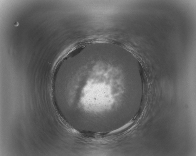 X0000064770293200602242004