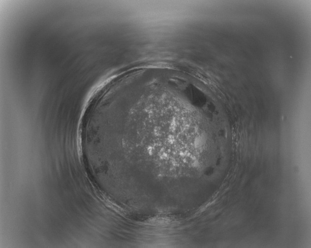 X0000064770294200602242004