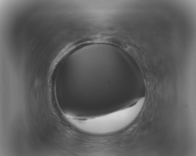 X0000064770295200602242004