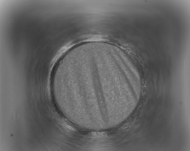 X0000064770296200602242004