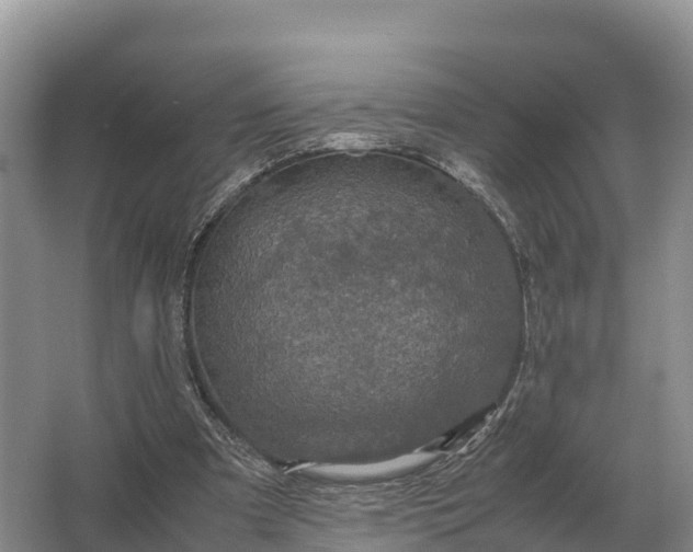 X0000064770297200602242004